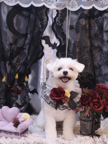 20231028うるちゃん